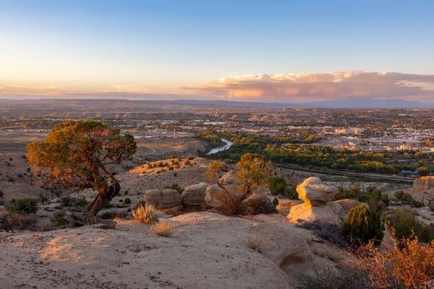 Overview of Farmington where WSI Web Enhancers serves the local community as a digital marketing agency and an SEO company