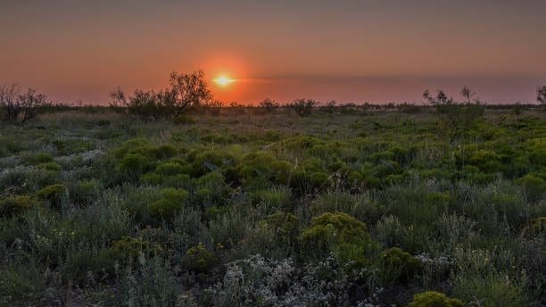Spectacular views outside the city of Hobbs, a WSI Web Enhancers digital marketing service area. Get our SEO services today