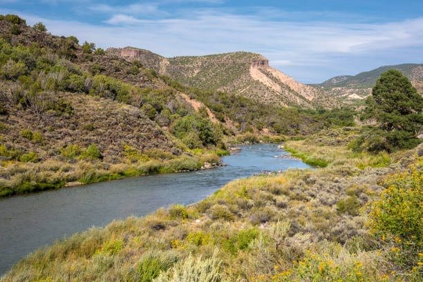 Sunny riverbed with stream in a dry, grassy area outside Chaparral, a digital marketing service area of WSI Web Enhancers