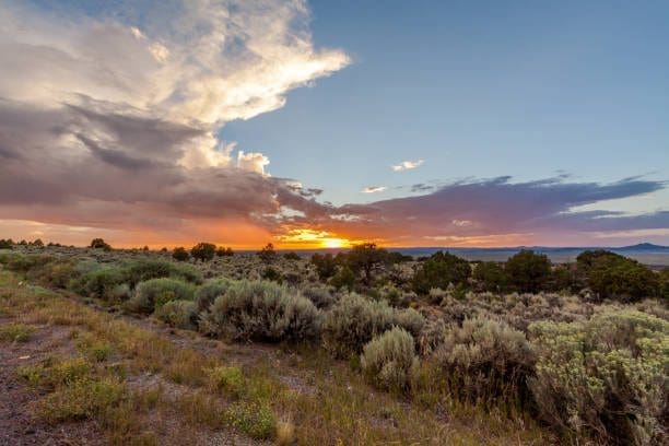 Sunset over desert landscape between Los Lunas and Española. Our SEO Company can help your business rank higher online.